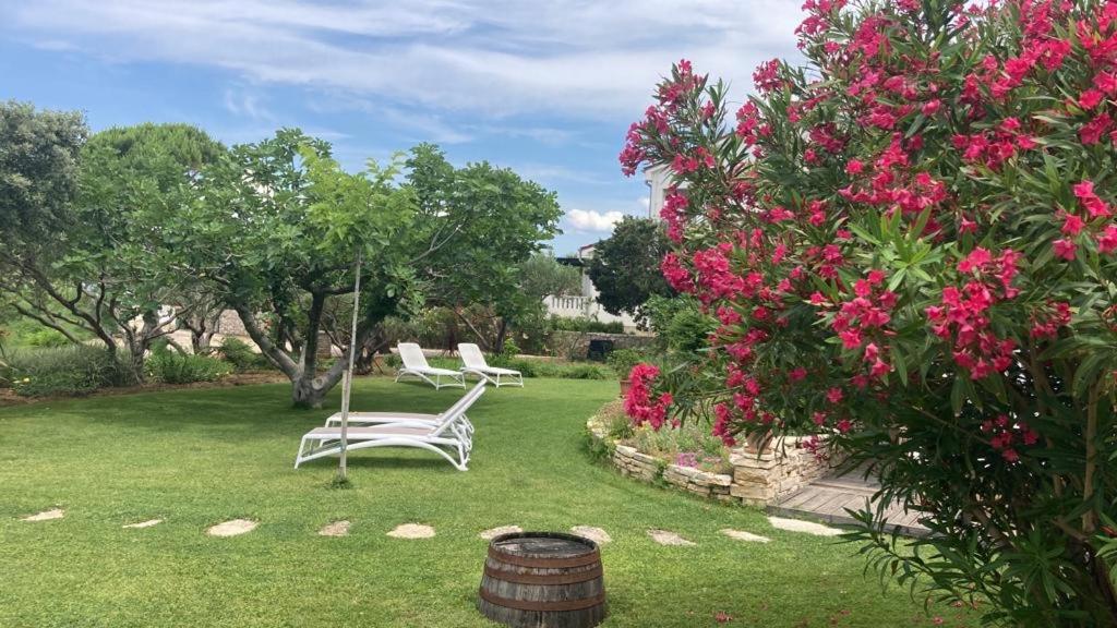 Bed&Breakfast Vanni Privlaka  Exterior foto