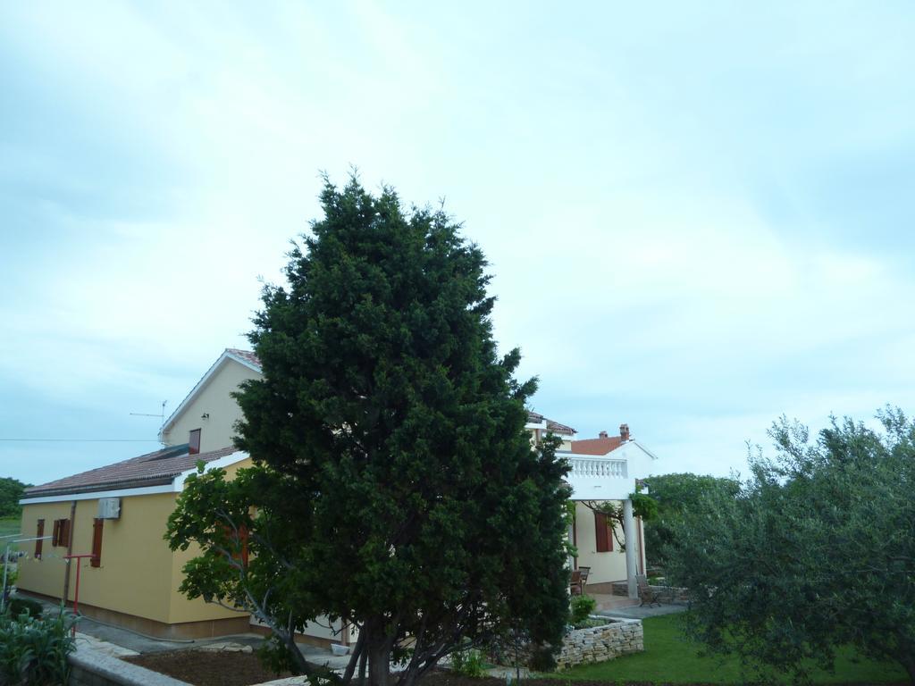 Bed&Breakfast Vanni Privlaka  Exterior foto